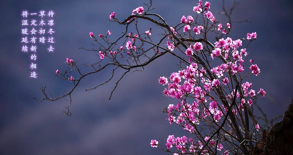 九游会·J9(中国游)官方网站-真人游戏第一品牌